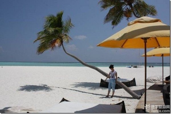 享受在马尔代夫的日子 --- 从选岛开始_游记_途