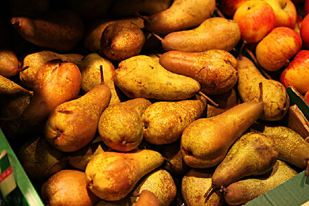 food_picture