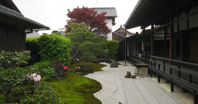 日本京都大德寺坐禅体验景点介绍