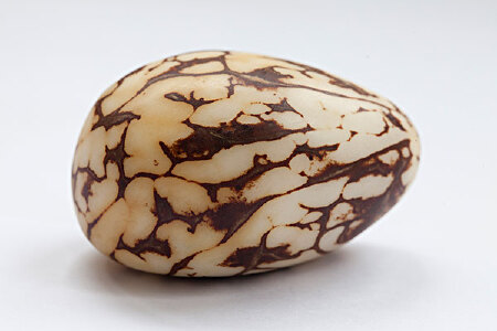 food_picture