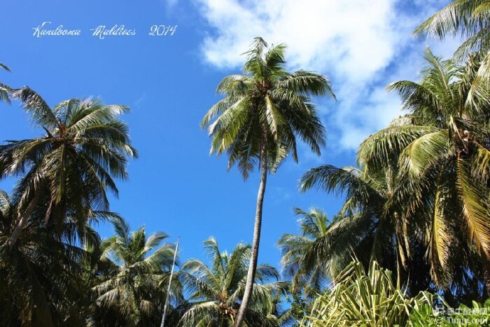 【马尔代夫】离天堂最近的,康杜玛岛