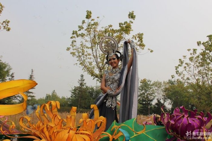 鲜花港---与菊花仙子的约会!_顺义