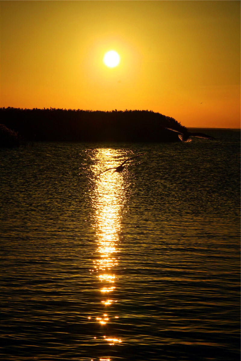 www.tuniu.com