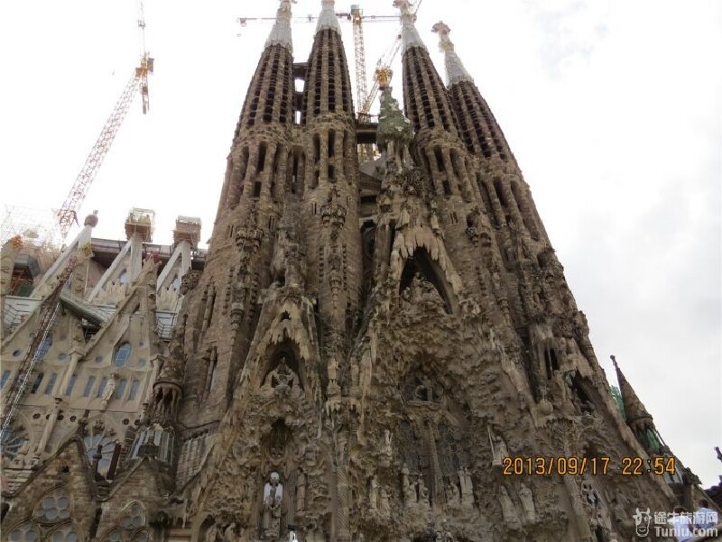 高迪鲤鱼纹身手稿图片内容图片分享