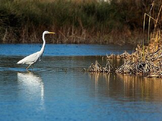 淮安有什么好玩的地方_淮安游玩去哪好_去淮