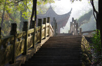 踏青之旅