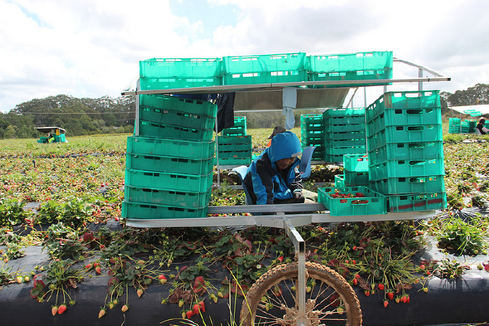 我的澳洲打工度假第一站-墨尔本_墨尔本