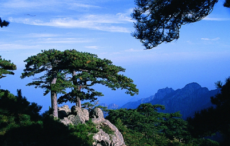 黄山四绝_黄山四绝图片高清剧情介绍