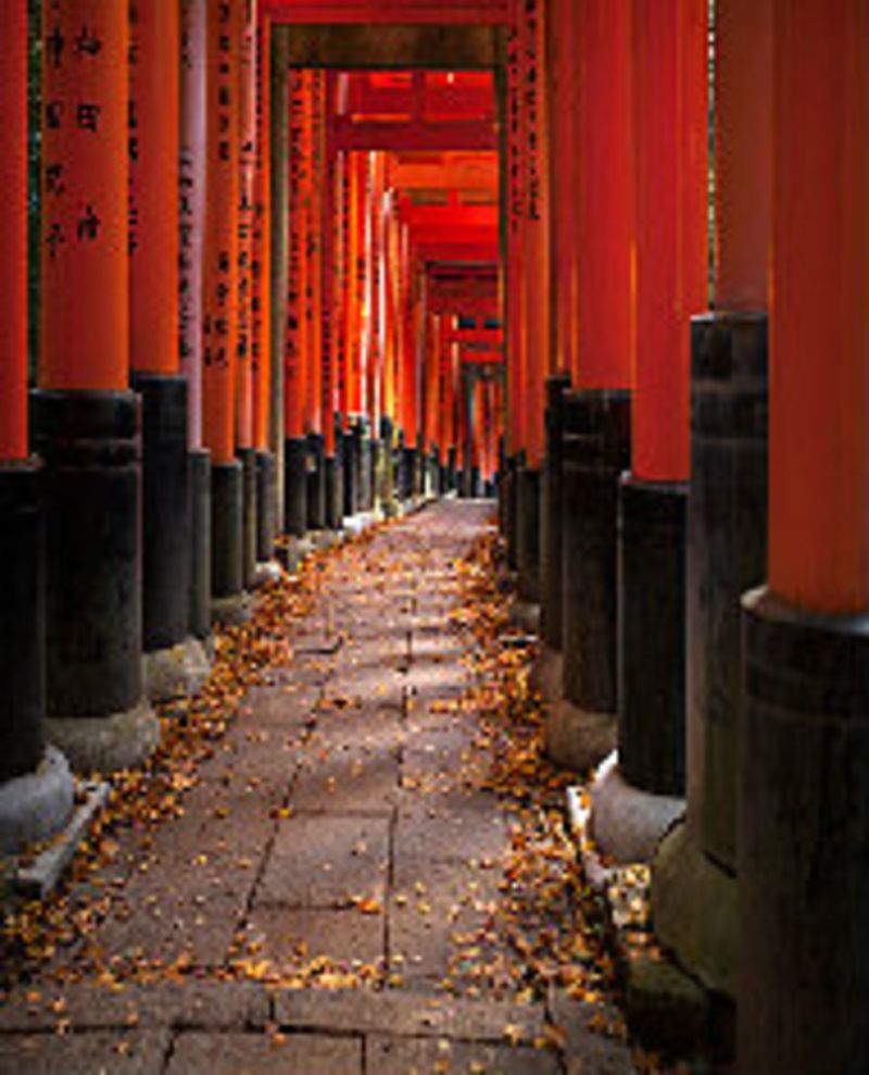 京都大觉寺旅游旅游点评_大觉寺好不好_大觉寺怎么样