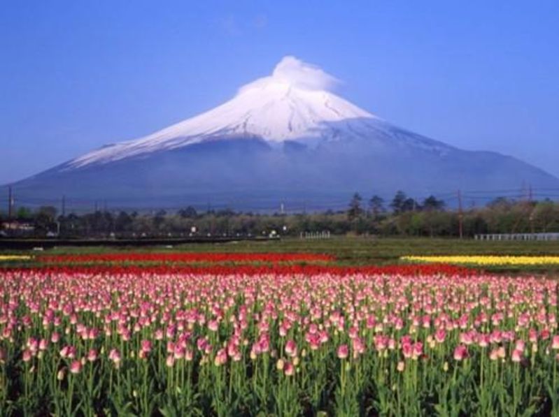 日本旅游攻略_日本富士山旅游攻略_日本富士
