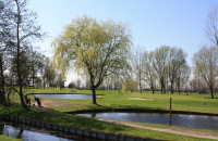 在湖南桃花源国际高尔夫球场打高尔夫