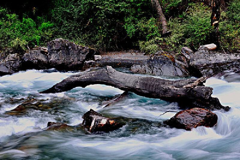 四川射洪县旅游景点_中华侏罗纪探秘旅游区_