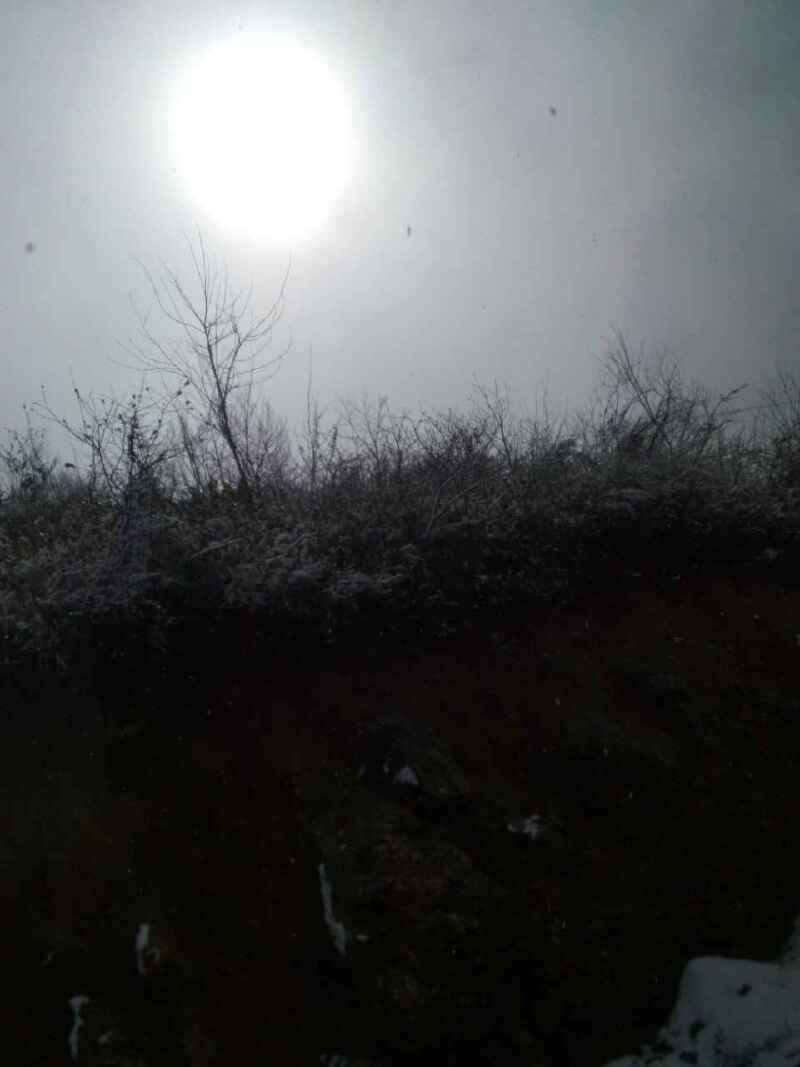 万源总人口_万源八台山风景区图片(2)