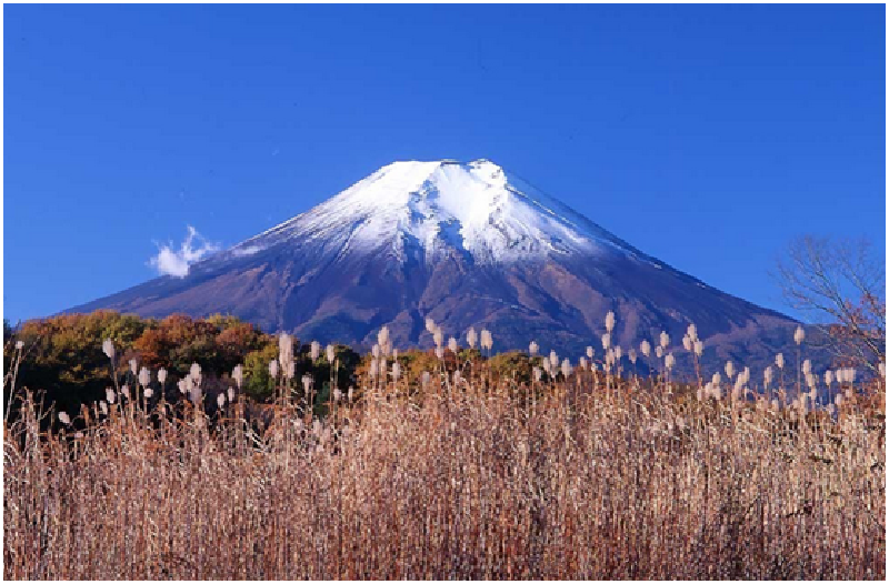 大连出境旅行社路线_大连出境旅行社价格_大