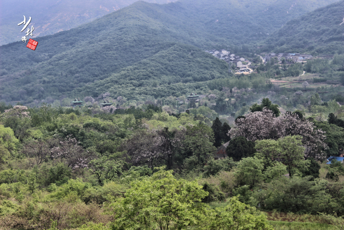 嵩山人口_嵩山少林寺图片(3)