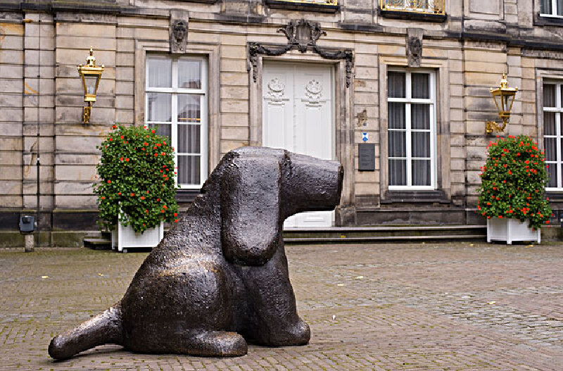 比利时马犬俱乐部_比利时马犬俱乐部简介_比