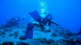 普吉岛潜水