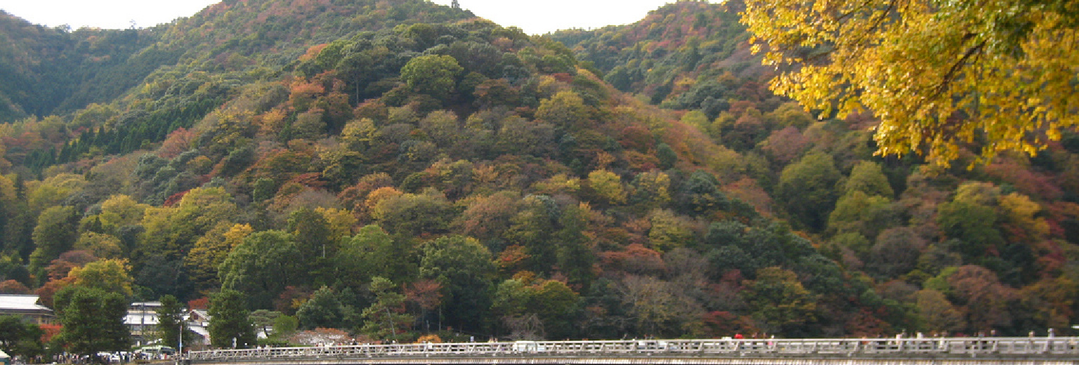 岚山旅游攻略