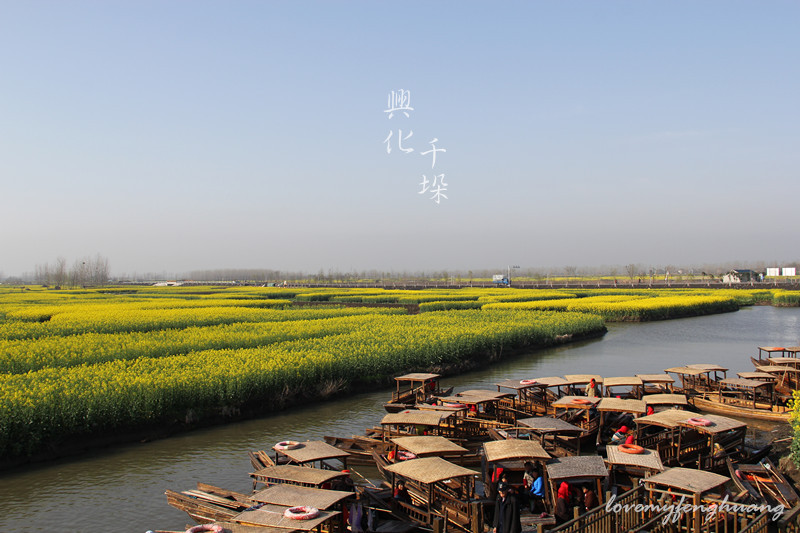 兴化人口有多少_兴化油菜花(2)