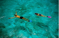 天宁岛珊瑚花园浮潜