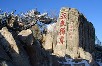 泰山国际登山节
