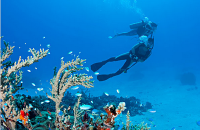 天宁岛体验潜水