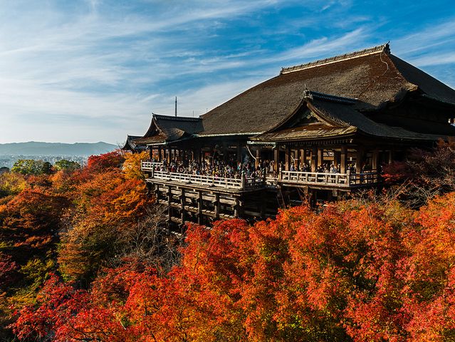 京都总人口_日本京都