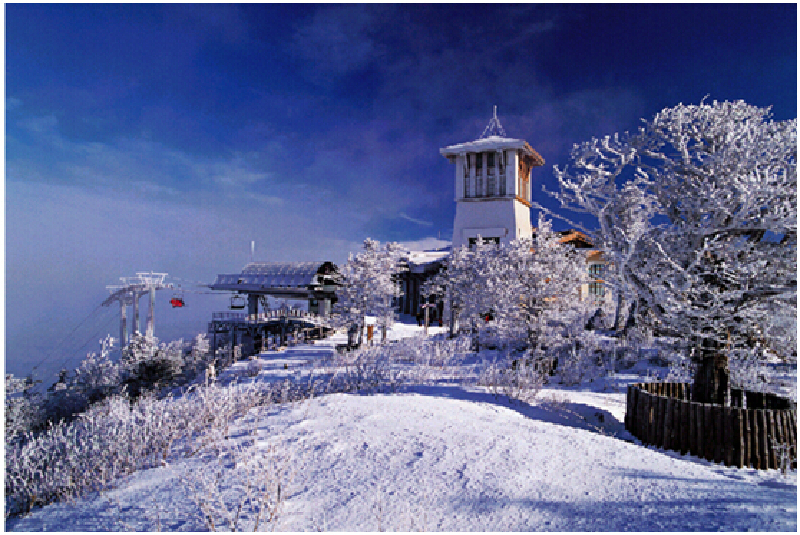 青岛旅游注意事项_到青岛旅游注意事项_去青