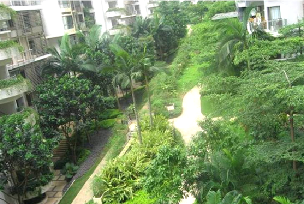 深圳南山蛇口兰溪谷_深圳有什么好玩的_深圳景点介绍