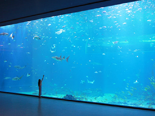 aqua planetˮ
