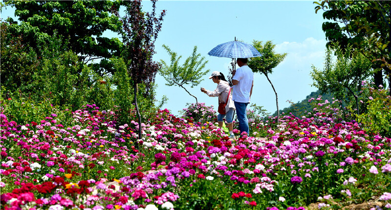 【黛眉山景区门票价格】2018洛阳黛眉山景区