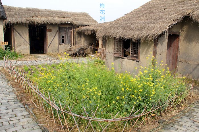 小茅屋,红灯笼,油菜花,蓝花布,交相辉映