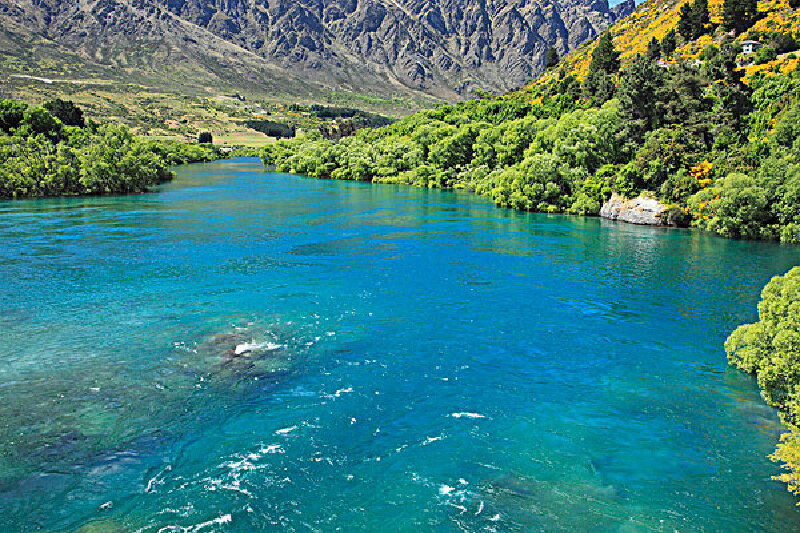 新西兰lpv签证_什么是新西兰lpv签证_新西兰lp