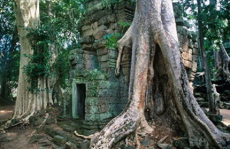 柬埔寨 旅游住宿_柬埔寨 旅游住宿费用_柬埔寨