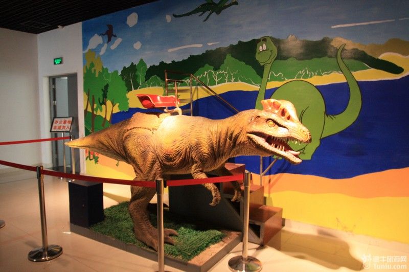 小朋友最喜欢的恐龙世界_南京古生物博物馆游记_途牛