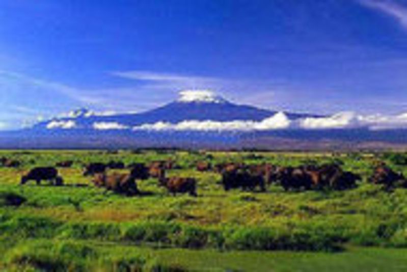 内罗毕国家公园旅游资讯网_最新非洲肯尼亚内