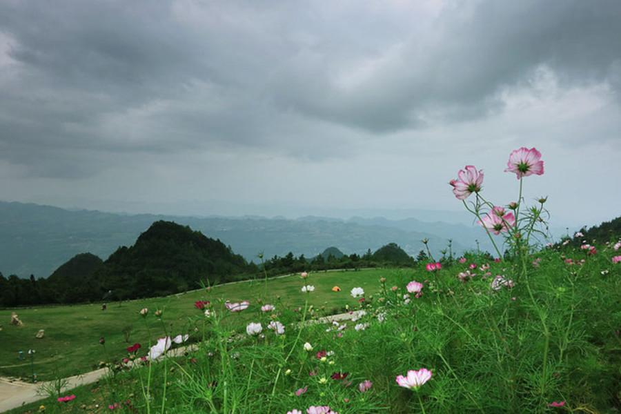 岐山草场