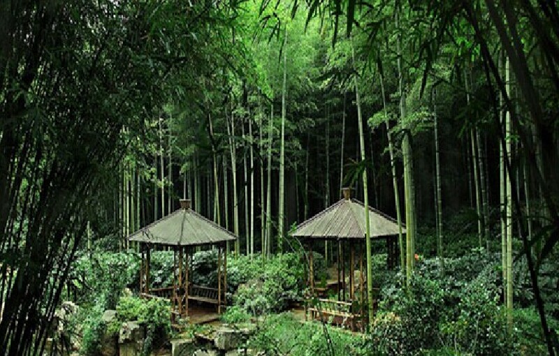 安吉旅游攻略