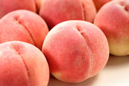 food_picture