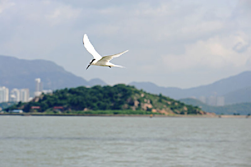 4月去珠海注意事项_四月份珠海人多吗_珠海旅