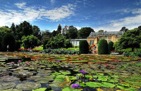 与动物亲密接触