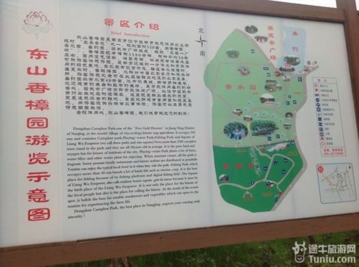 南京江宁五朵金花之东山香樟园