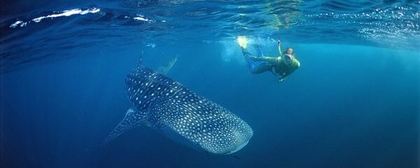 马尔代夫旅游_马尔代夫满月岛吃饭_去满月岛