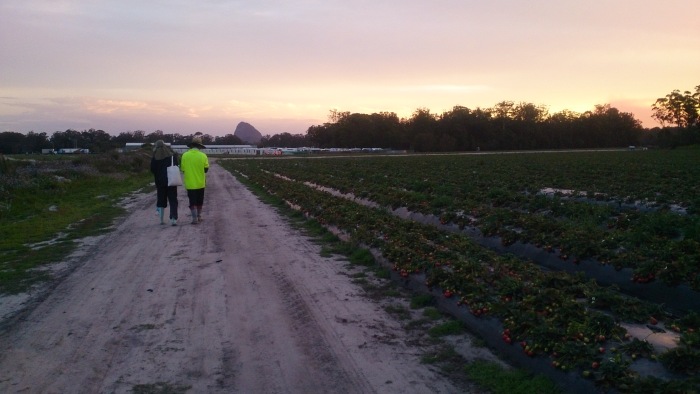 我的澳洲打工度假第一站-墨尔本_墨尔本