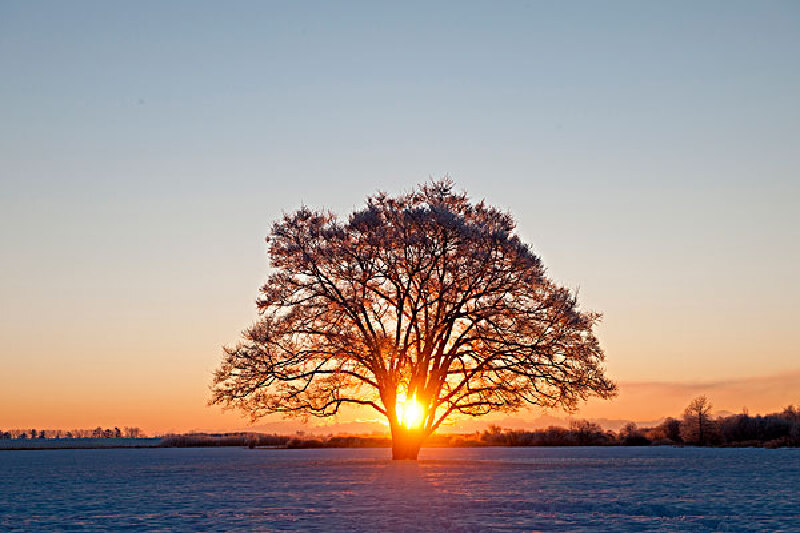 夏天到日本旅游_景点推荐_最新日本旅游资讯