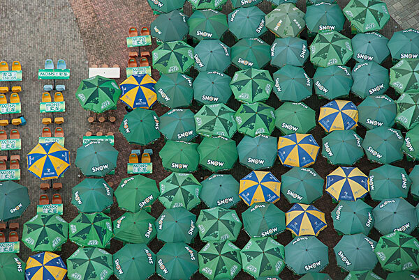 青岛世园会免费吗_青岛世园会免费门票_青岛