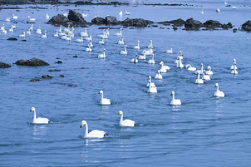 神雕山野生动物园门票_威海神雕山野生动物园门票价格_威海神雕山野生动物园门票预定_威海神雕山野生动物园门票团购_最新威海旅游资讯_途牛旅游网