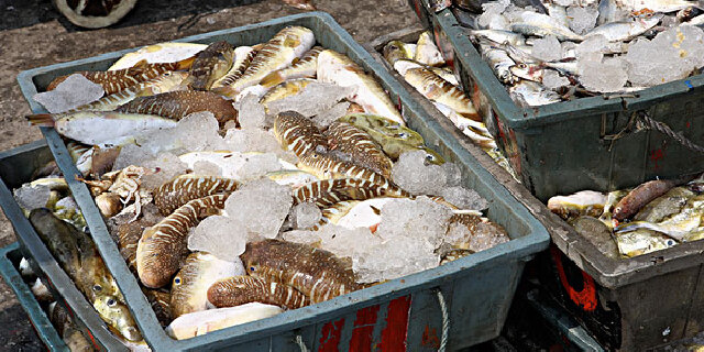 宁波特产_宁波特色礼品_宁波土特产