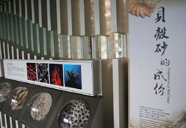 砂岛贝壳砂展示馆