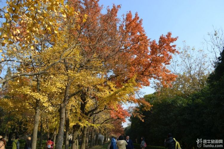 南京旅游海量图片南京12年的春夏秋冬